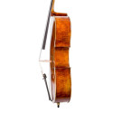 Cello F. Müller Master Antiqued 3/4
