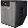 AMPLIFICADOR BAJO COMBO ASHDOWN ORIGINAL EVO - 1x12 300w