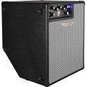AMPLIFICADOR BAJO COMBO ASHDOWN ORIGINAL EVO - 1x12 300w