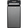 AMPLIFICADOR BAJO ASHDOWN STUDIO CABEZAL 250w + PANTALLA 2 x 10