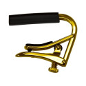 CEJILLA STANDARD ACÚSTICA / ELÉCTRICA GOLD RADIO 184mm