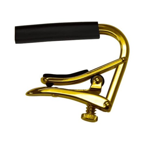 CEJILLA STANDARD ACÚSTICA / ELÉCTRICA GOLD RADIO 184mm