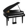 Clavinova Yamaha CLP895GP PE