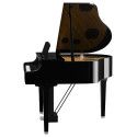 Clavinova Yamaha CLP895GP PE