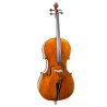 "Cello F. Müller Master Antiqued"