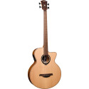 BAJO ACÚSTICO LAG JUMBO HYVIBE H2 10 A/E CUTAWAY