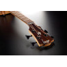 BAJO ACÚSTICO LAG JUMBO HYVIBE H2 10 A/E CUTAWAY