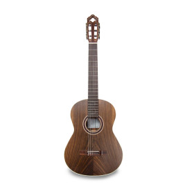Guitarra Clásica APC 10-RW