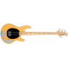 BAJO ELÉCTRICO STINGRAY RAY24 CLASSIC  M/M - Classic Butterscotch