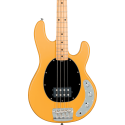 BAJO ELÉCTRICO STINGRAY RAY24 CLASSIC  M/M - Classic Butterscotch