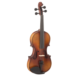 VIOLÍN CARLO GIORDANO VS1 1/2