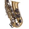 SAXO ALTO J. MICHAEL BPAL-AL1100AG