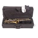 SAXO ALTO J. MICHAEL BPAL-AL1100AG