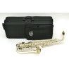 SAXO ALTO J. MICHAEL PLATEADO AL900S
