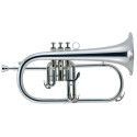 FLISCORNO J. MICHAEL BPFG-850S