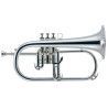 FLISCORNO J. MICHAEL BPFG-850S