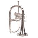 FLISCORNO J. MICHAEL PLATEADO FG550S