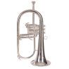 FLISCORNO J. MICHAEL PLATEADO FG550S