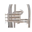 FLISCORNO J. MICHAEL PLATEADO FG550S