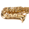 SAXO ALTO J. MICHAEL LACADO AL500
