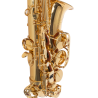 SAXO ALTO J. MICHAEL LACADO AL500