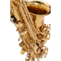 SAXO ALTO J. MICHAEL LACADO AL500