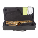 SAXO ALTO J. MICHAEL LACADO AL500