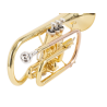 CORNETA J. MICHAEL EN SI BEMOL CT420