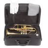 CORNETA J. MICHAEL EN SI BEMOL CT420