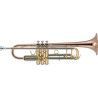 TROMPETA J. MICHAEL TR450 EN SI BEMOL