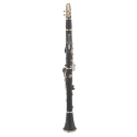 CLARINETE J. MICHAEL CL360