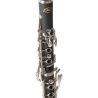 CLARINETE J. MICHAEL CL360