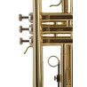 TROMPETA J. MICHAEL DE ESTUDIO LACADA TR200