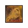 Cuerda cello Pirastro Evah Pirazzi Gold 335420 4ª Do Medium 4/4