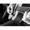 MICRÓFONO PARA INSTRUMENTOS DE CUERDA PRODIPE GL21