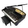 PIANO DE COLA DIGITAL ARTESIA AG30