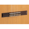 GUITARRA CLÁSICA ADMIRA A20 ELECTRIFICADA CON FISHMAN SERIE ARTESANÍA