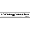 AMPLIFICADOR AER COMPACT 60-4 SLOPE NEGRO