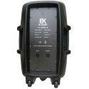 COLUMNA PASIVA EK AUDIO DE 12 150W