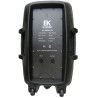 COLUMNA PASIVA EK AUDIO DE 12 150W