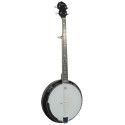 BANJO DAYTONA BJ5