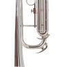 TROMPETA AMADEUS NIQUELADA TP-807N