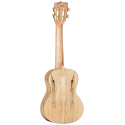 UKELELE CONCIERTO TANGLEWOOD TWT11
