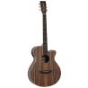 GUITARRA ACÚSTICA TANGLEWOOD SUPER FOLK TRSFCEAEB