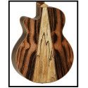 GUITARRA ACÚSTICA TANGLEWOOD TWJSFCE SUPER FOLK