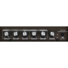 AG15A AMPLIFICADOR GUITARRA ACÚSTICA EK AUDIO DE 15W CON BATERÍA RECARGABLE