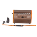 AG26A AMPLIFICADOR GUITARRA ACÚSTICA EK AUDIO DE 25W CON BATERÍA RECARGABLE