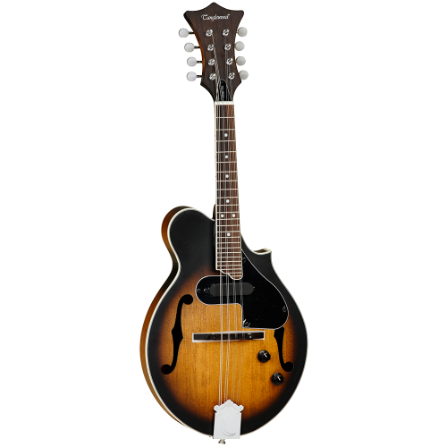 MANDOLINA TANGLEWOOD TWMFVSE