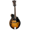 MANDOLINA TANGLEWOOD TWMFVSE