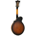MANDOLINA TANGLEWOOD TWMFVSE